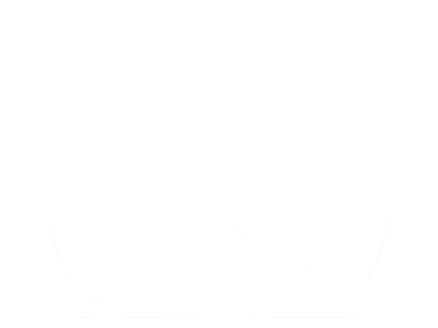Bong Sen Packaging