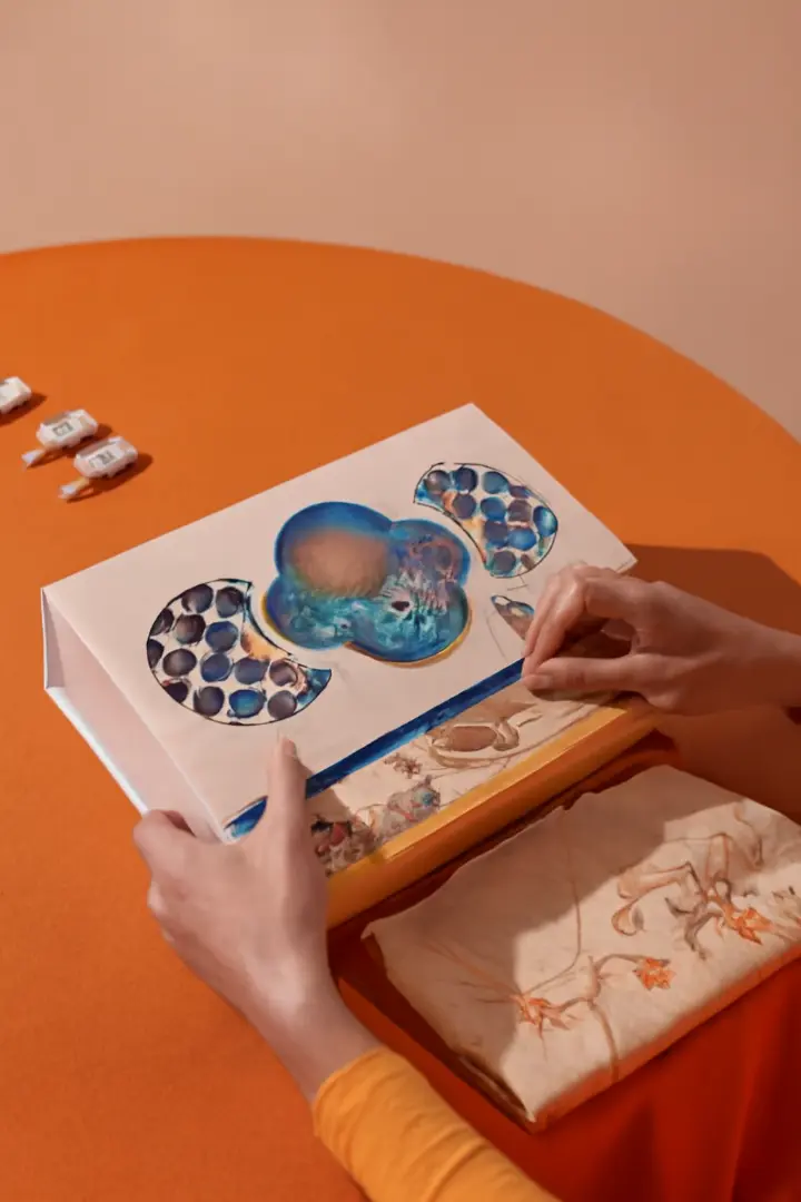 compressed_ca873ac2-a001-4cee-a410-3efee023b3f0 (1) (2)